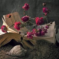 Libro e rose